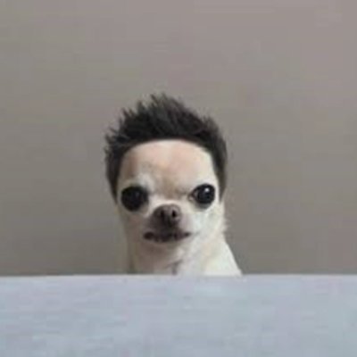 unitrixbonk's profile picture. 