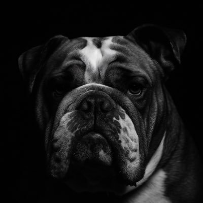 oleredandblue88's profile picture. 