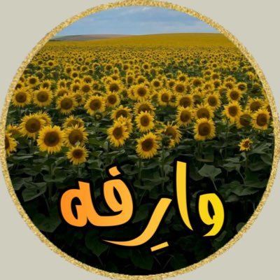@wareefa55