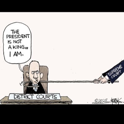 AlexHer24088365's profile picture. 