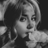afeatheredlove's profile picture. —— clarissa. | a broken flower drifting upon the sea, dancing through the night so flawlessly. | #aesthetic. RP. Fake.