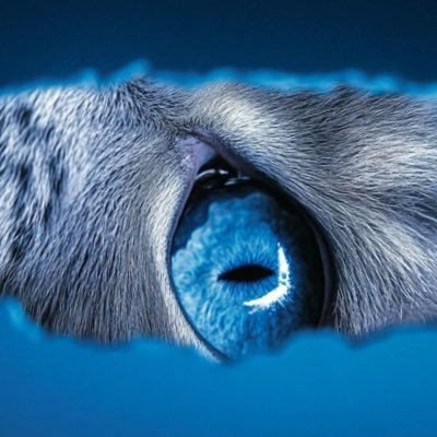 JESSYOG4's profile picture. 