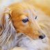 ãããã€ã³ (@sakura1890237) Twitter profile photo ãããã€ã³ (@sakura1890237) Twitter profile photo