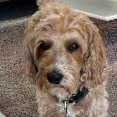 traderJeight's profile picture. 