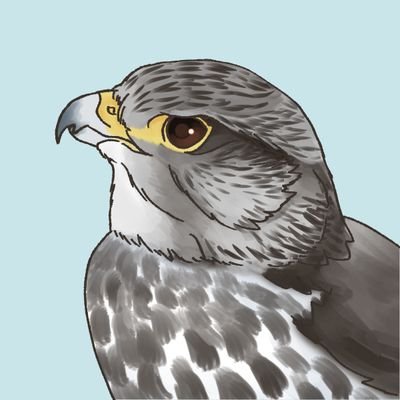 BirbSquawky's profile picture. 