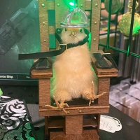 kyle (@kyleofair) 's Twitter Profile