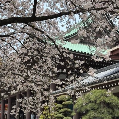 bzP4Cvh5rs10527's profile picture. 税理士試験受験生です。TAC生R8財表。簿記2級、宅建。会社員。