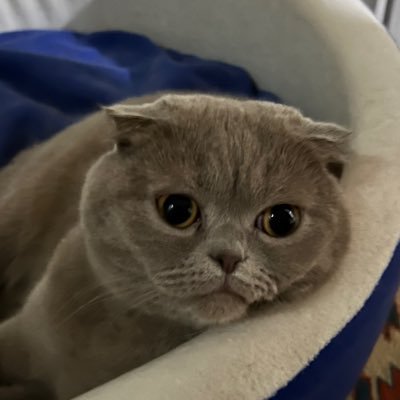 malkk555's profile picture. 