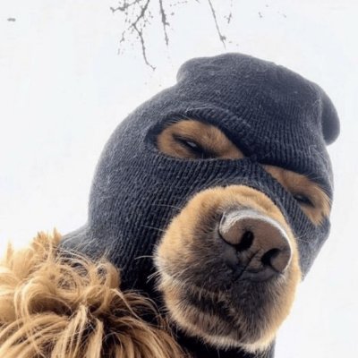 jaamesreborn's profile picture. 