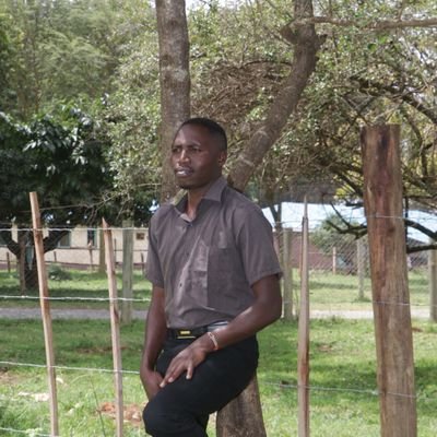 An Esteemed Electrical and Electronics Engineer,