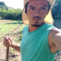 Arturo Br (@germ1nart) 's Twitter Profile