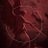sonitustuba's profile image