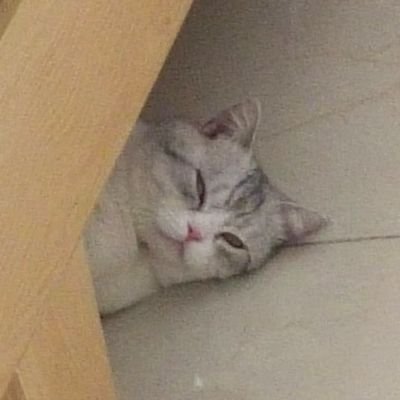 ukさんのプロフィール画像
