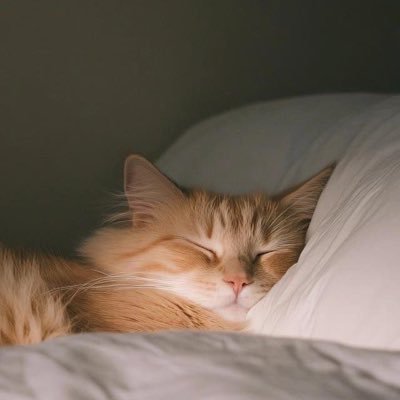 PelayanRestoran's profile picture. 