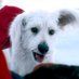 𝐊𝐑𝐘𝐏𝐓𝐎 (@supsbestbuddy) Twitter profile photo 𝐊𝐑𝐘𝐏𝐓𝐎 (@supsbestbuddy) Twitter profile photo