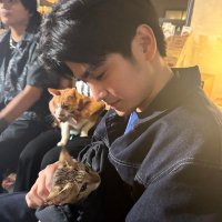 haze (@willcxt) 's Twitter Profile