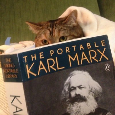 Neweyfan's profile picture. Alonsista puta roja maricona | Aspie TDAH Tourette's | 1312 | Taken 💖@Stroma45620💖