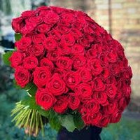 Srabanti S (@srabantis173650) 's Twitter Profile