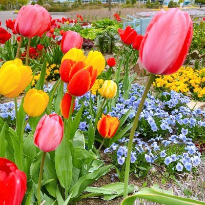 toto_richness's profile picture. 2人の子供がいる母です😉趣味は懸賞・旅行・お得な買い物・音楽・💛のんびり生きるのが目標です😌