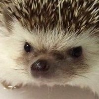 75 (@l75751111) 's Twitter Profile Photo