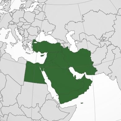 middle201east's profile picture. All the news happening in the Middle East..