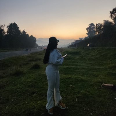 diary of a gemini
