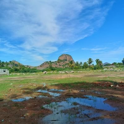 இராசராசசோழன் நடராசன் Profile