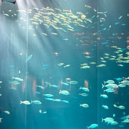 00kubo_akira's profile picture. 元文教記者／ＲＴ、いいねは賛意とは限りません