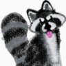 That_Coon_Felix's profile picture. -Local Raccoon Overlord 🦝
-Transmasc 💙🩷🤍🩷💙 (He/Him)
-Pan 🩷💛💙
-Roblox Fan! (Fav Games: Creatures of Sonaria (CoS), Wild Horse Islands (WHI), and others)