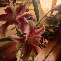 smsm (@s23915053) 's Twitter Profile Photo smsm (@s23915053) 's Twitter Profile Photo