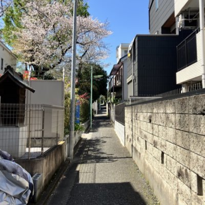 musket_gun's profile picture. 