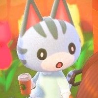 37 (@wzzzn_p) 's Twitter Profile