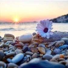 Nasser295685488's profile picture. 