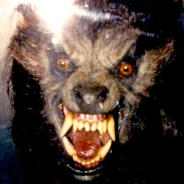 he/him | artist | werewolf expert | TWD, Kaiju, HTTYD lover | -mainly for me to archive photos- posts will and can contain graphic material, minors DNI‼️