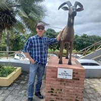 José Rildo (@josrildo3) 's Twitter Profile