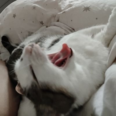 LitworaMartyna's profile picture. 