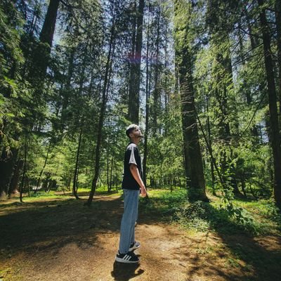 utkarsh_nagpure's profile picture. Technophile,Coder,Gamer,Music.