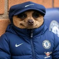 Funkiasso (@funkiasso) 's Twitter Profile