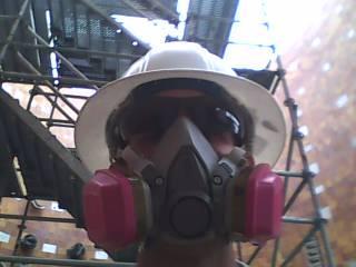 monkeymovie's profile picture. 