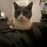 ridox96561595's profile picture. .