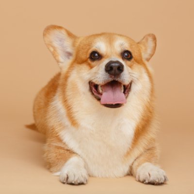 syunnjack's profile picture. 食べ歩き、国内外旅行が趣味。便利ツール、bot、GTPsなど作っています。