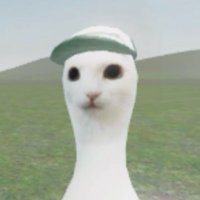 π§ββοΈ (@m0rj0r) 's Twitter Profile