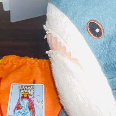 しゃめさんは、タロットが得意なぬいぐるみ。ゆるかわな解釈で、あなたの心にそっとよりそいます。 推し活/メンタルの波にも効くかも? #しゃめさん占い │ 投稿:月水金くらいの朝7時くらい