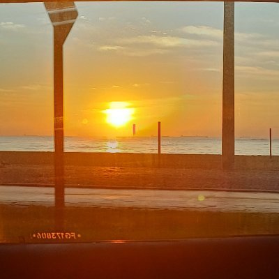 lorenasaaraujo's profile picture. Uma contradição.
💢📚