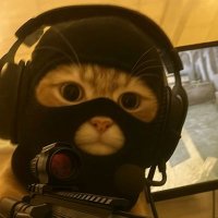 gmas (@nft528) 's Twitter Profile
