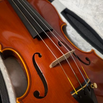 2025.7〜🔰憧れの🎻を始めました!アラサー会社員🌸 ランニング、カメラ、読書も好きです。🎻:Pygmalius 🏃♀️:(フル)新潟、湘南国際【目標】2026年にはサブ4.5!(現在サブ5)よろしくお願いいたします♪