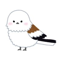 ˖ ࣪⊹ (@ccs_n0s) 's Twitter Profile