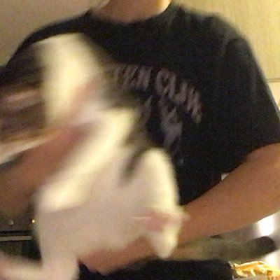 kimkanussi's profile picture. 대왕똑똑이 고양이+김고고씨