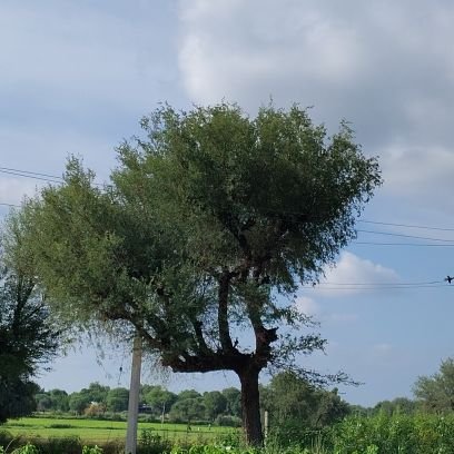 RAJASTHAN_VIEW's profile picture. राजस्थान बचाओ