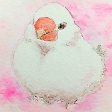 ★白文鳥ぴーすけ★美味しいもの★御朱印★お出かけ★浦和レッズ⚽️🚩★推しはドズル社🦍🍆🍌⛄️🐷最推しはぼんじゅうるさん🍆🕶帰宅部、さんちゃんく!も好き☺️アイコンはしゅりさん(@s_h_u_r_i0303)に描いていただき、ヘッダーはかおにゃさん (@kao_000818)のを使わせていただいてます!